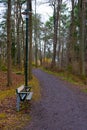 Park bench. Autumn path in swedish forest. Fall in scandinavian woods. Nature, background Royalty Free Stock Photo