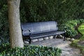 Park bench black bench in shade bench by tree Royalty Free Stock Photo