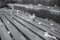 A park bench covered with leaves in autumn monochrome photo.