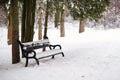 Park bench covered by snow in winter. Snowy cold weather. Winter morning after snowfall Royalty Free Stock Photo
