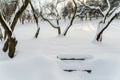 Park Bench Covered In Winter Snow Royalty Free Stock Photo