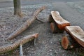 Park bench eye with moving two crocodiles. who will sit on the bench? the branches, slightly modified by a chainsaw, resemble Komo