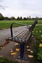 Park Bench in the Fall