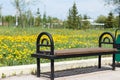 A Park bench, a field of dandelions, next to an urn