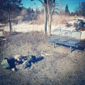 Park bench and fire pit in winter. Royalty Free Stock Photo