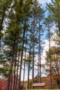 A park bench in front of trees at Red House Lake in Red House, New York, USA Royalty Free Stock Photo