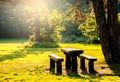 Park bench in a gorgeous autumn forest