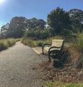 Park bench beside gravel pathway under clear blue sky Royalty Free Stock Photo