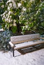 Park bench and green foliage covered with freshly fallen snow