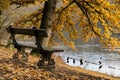A scenic view of an old bench near Lake in autumn park Royalty Free Stock Photo