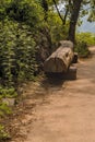 Park bench made of long cut log under shade tree