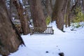 A Park Bench Next to a Tree in a Park Covered in Snow Royalty Free Stock Photo