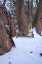 A Park Bench Next to a Tree in a Park Covered in Snow Royalty Free Stock Photo