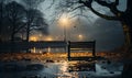Park Bench by Tree on Rainy Night Royalty Free Stock Photo