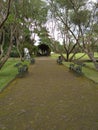 Park bench in Nusantara flower garden, Cianjur, West Java, Indonesia Royalty Free Stock Photo