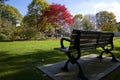 Park bench in a public park in low angle view Royalty Free Stock Photo