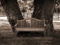 Park bench in sepia Royalty Free Stock Photo