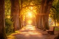 A park bench sits amidst the lush greenery of a forest, offering a resting spot for weary hikers and nature enthusiasts, Magical Royalty Free Stock Photo