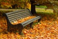 Park bench strewn with autumn yellow maple leaves Royalty Free Stock Photo