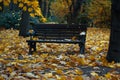 Park Bench Surrounded by Fallen Autumn Leaves Royalty Free Stock Photo