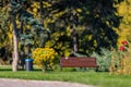 A park with a bench and a trash can Royalty Free Stock Photo