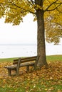 Park bench and tree on lake Chiemsee, Germany Royalty Free Stock Photo