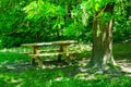 Park bench and tree shadow Royalty Free Stock Photo