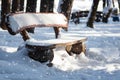 Park bench and trees covered by heavy snow. Lots of snow