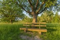 Park bench under apple tree Royalty Free Stock Photo