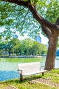 Park bench under big tree overlooking the water or lake Royalty Free Stock Photo