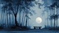Moonlit Park Bench in a Serene Night Royalty Free Stock Photo