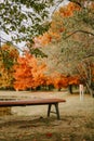 Park Bench Under a Tree with Beautiful Red and Orange Autumn Foliage and Open Field Royalty Free Stock Photo