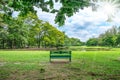Park bench under tree near lake Royalty Free Stock Photo