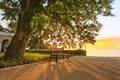 Park bench under tree at sunrise. Royalty Free Stock Photo