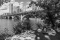 Black and white photo of Lady Bird Lake and N. Lamar Blvd Bridge in Austin Texas Royalty Free Stock Photo