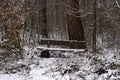 park bench in the winter forest in the snow Royalty Free Stock Photo