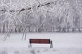 Park bench in the winter Royalty Free Stock Photo