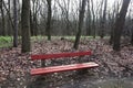 Park bench in the woods in winter time Royalty Free Stock Photo