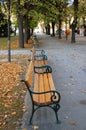 Park benches, autumn