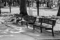 Park Benches Royalty Free Stock Photo