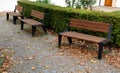 Park benches in front of a trimmed hedge. The benches are metal modern with wide black legs. The wood is brown natural. Granite pa Royalty Free Stock Photo