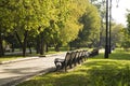 Park with benches.Improvement of the city.Green zone Royalty Free Stock Photo