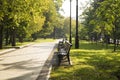 Park with benches.Improvement of the city.Green zone Royalty Free Stock Photo