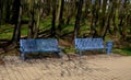Park benches in light blue made of metal strips similar to a lattice. trash can and beautiful lawn with park paths of gravel thres