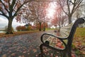 Park Benches in the Park in Autumn Royalty Free Stock Photo