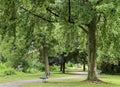 Park benches are shown in an empty city park Royalty Free Stock Photo