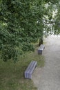 Park benches under a tree Royalty Free Stock Photo