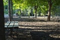 The park benches under the park trees Royalty Free Stock Photo