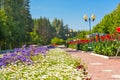 Park with blooming flowers alley path road street