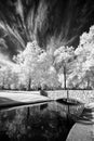 Park Bridge in Infrared Royalty Free Stock Photo